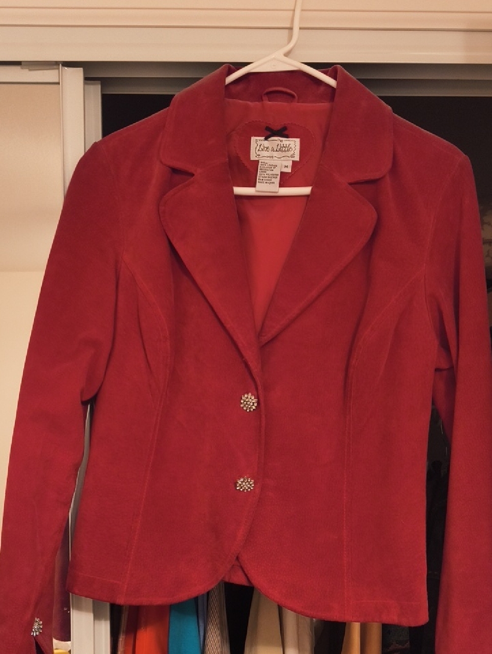 Live a Little Crimson Suede Blazer with Decorative Buttons